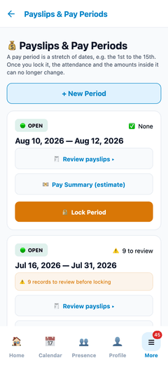 Payroll periods and payslips inside InyoCheck